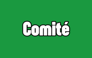 Visioconférence Comité/Responsables compétitions des clubs